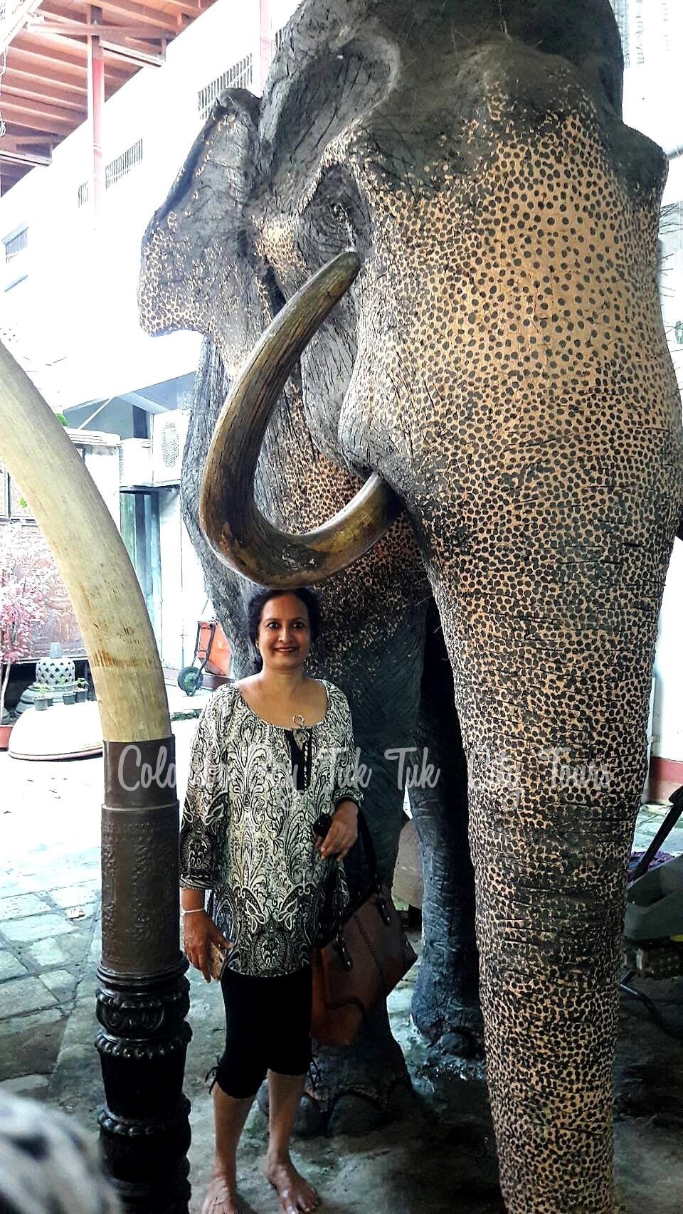 Colombo Bay Tuk Tuk gallery 0007 - Gallery