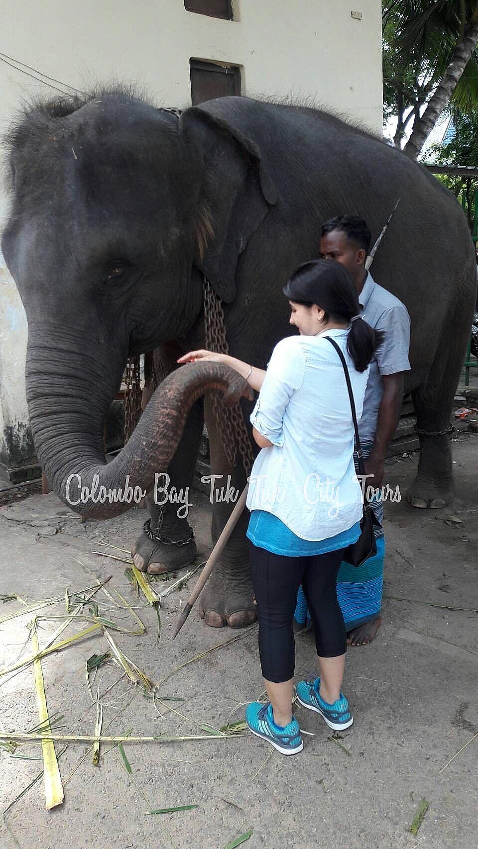 Colombo Bay Tuk Tuk gallery 0015 - Gallery